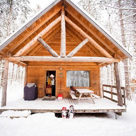 Huttopia White Mountains Albany Exteriör bild
