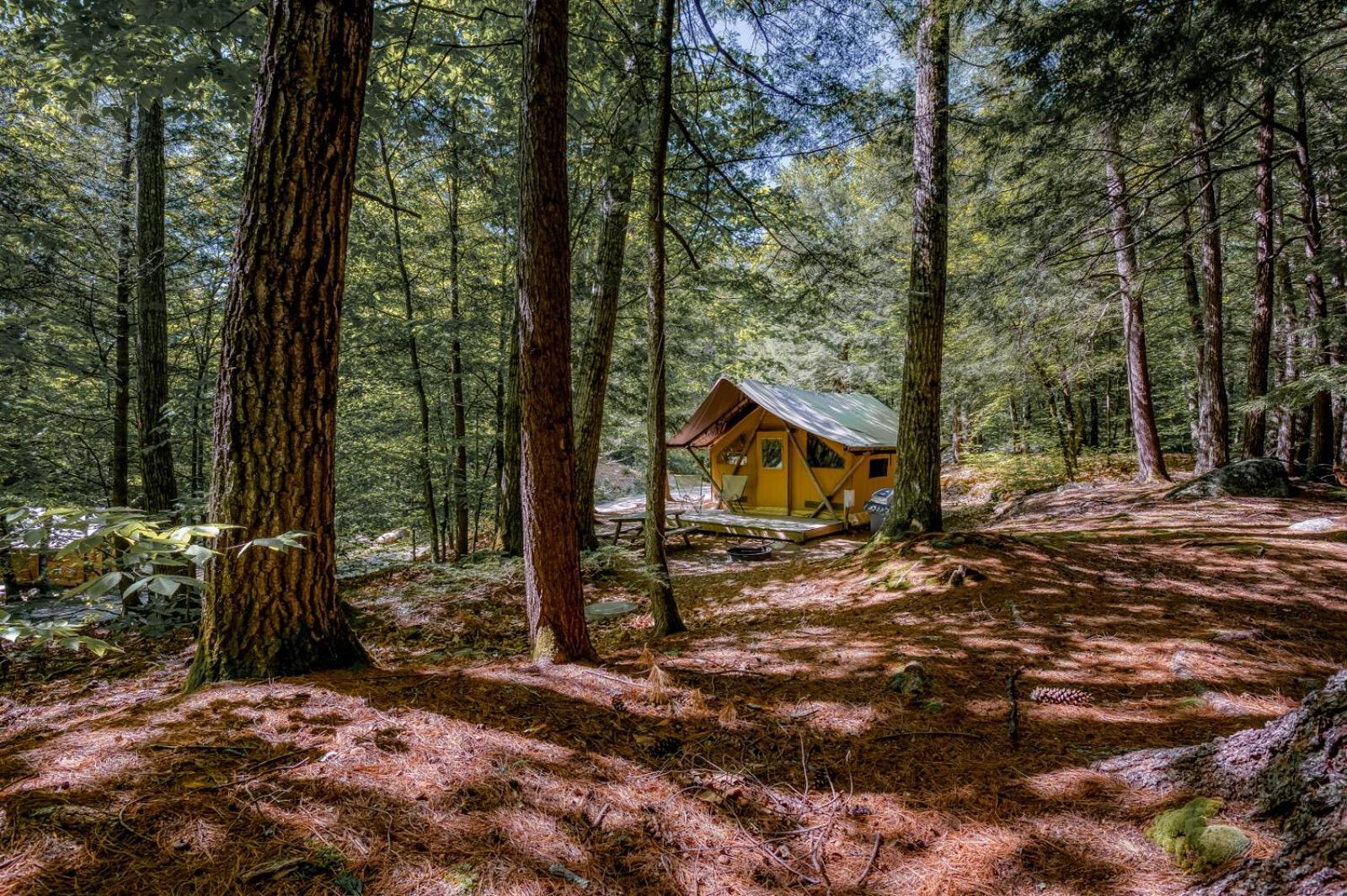 Huttopia White Mountains Albany Exteriör bild